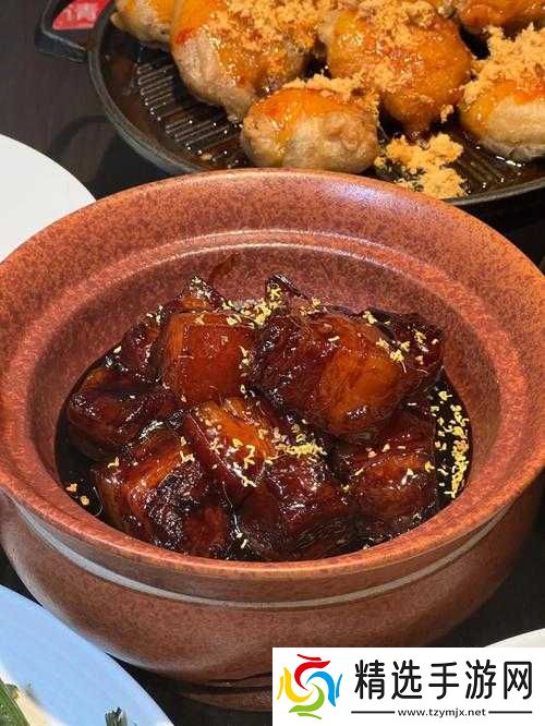 太子宠妾高肉红烧肉包讲的什么