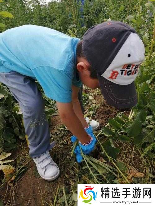 挤牛奶拔萝卜怎么拔