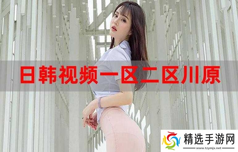 日韩一区二区区别究竟为何