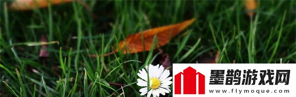 哔哩哔哩情侣进入高峰期