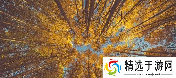 精灵被改造成产子工具