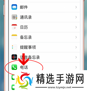 苹果手机怎么看本机号码