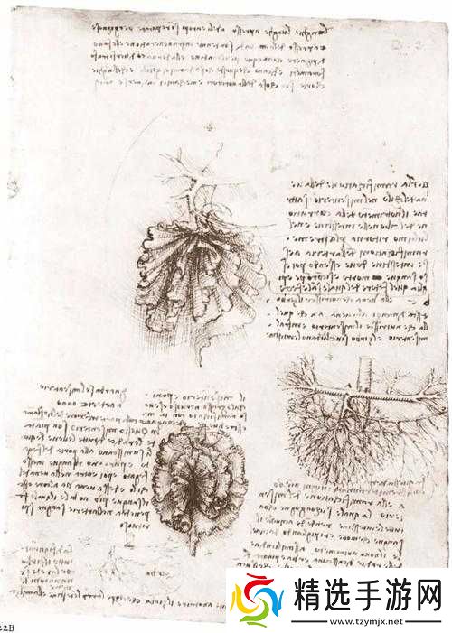 最强蜗牛达芬奇手稿获取攻略