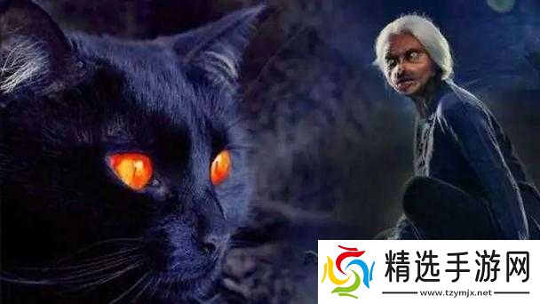 神秘猫又:奇幻传说中的强大存在