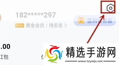 vivos9e可以添加门禁卡吗