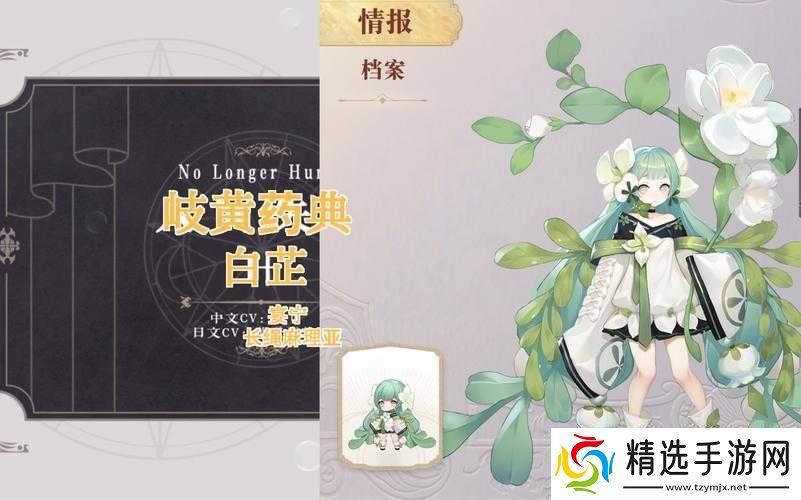 幻书启世录人气角色白芷介绍