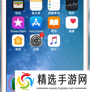 苹果手机怎么看本机号码