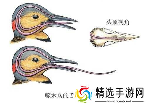 他的舌头好像有魔力一般