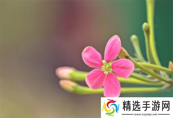 女方用嘴巴吃鸡后多久恢复