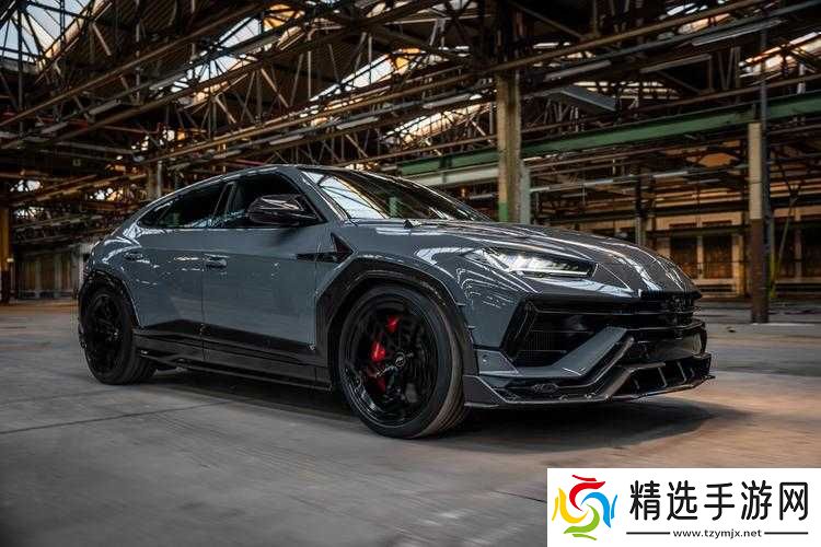 曹留社区 2024 年:规划与发展展望