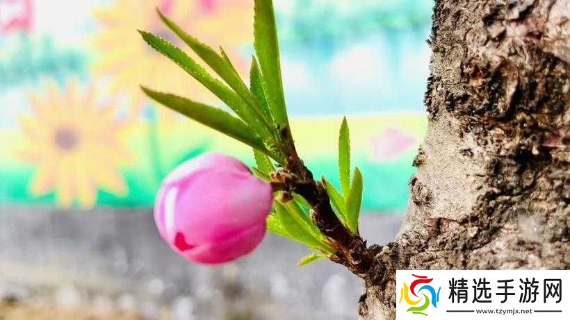 含苞欲放的桃花