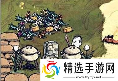 饥荒怎么抓海鸥