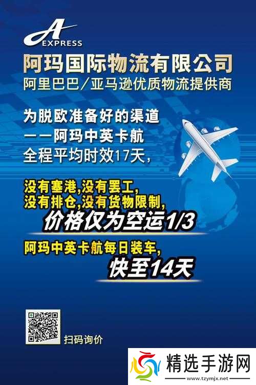 亚马逊 FBA 欧洲 VAT:提供高速通道