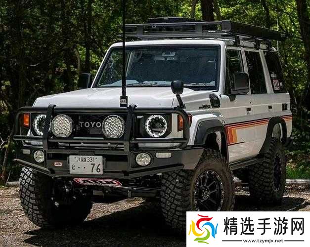 狂野的需求:无尽的探索与追寻