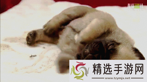 刚入睡时感觉巨大物体在动且似有异动