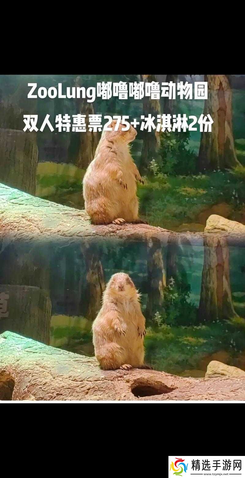 We 带嘟噜嘟噜嘟噜啊耶啊耶:开启奇妙之旅