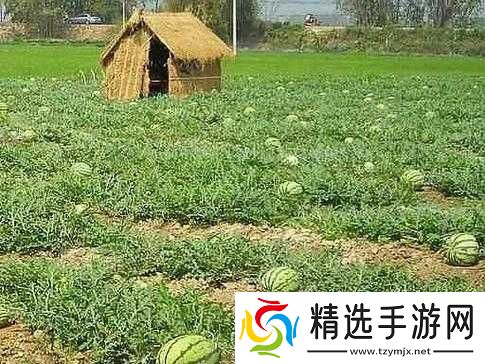 五一吃瓜网站官网入口