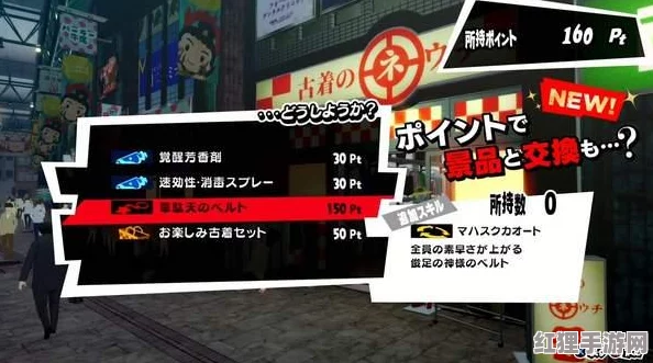 唤醒内心的叛逆!揭秘"p5r考试答案"