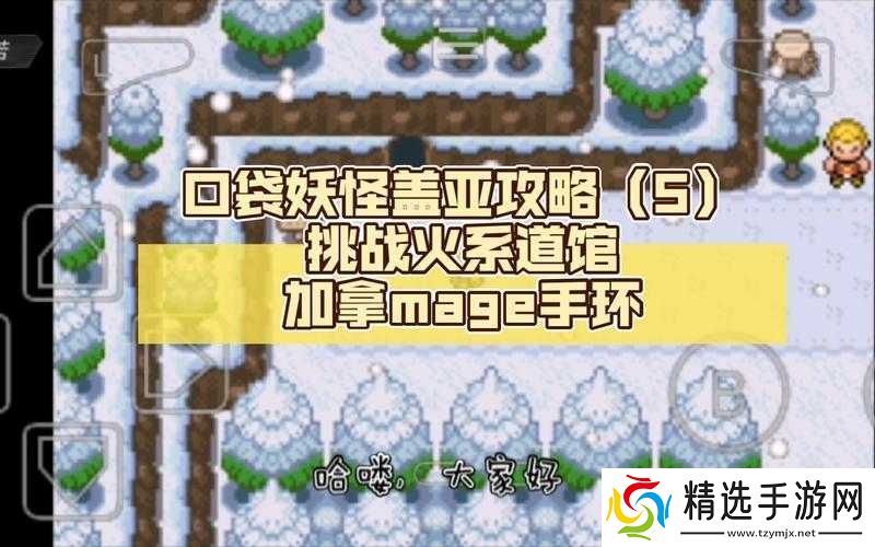 口袋妖怪重制新手必备攻略