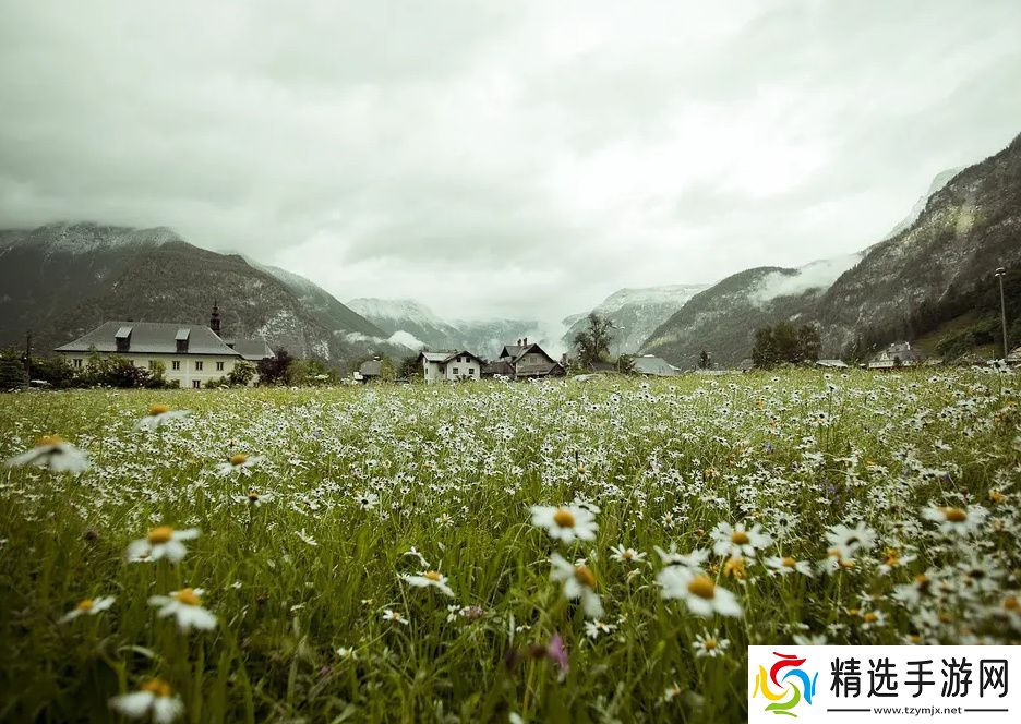 暴躁老姐的csgo心得分享视频