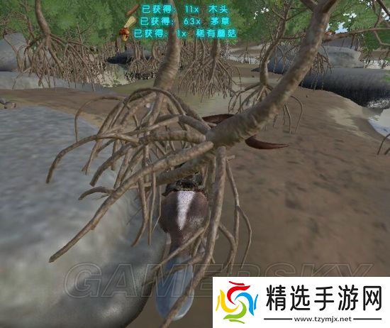 方舟生存进化新手玩法技巧介绍稳定渡过新手期