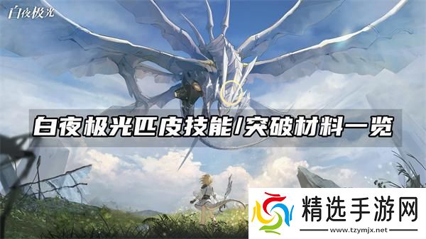 了解白夜极光匹皮技能/突破材料一览
