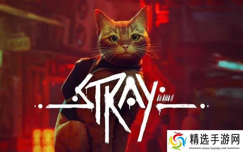 迷失stray机器人语言翻译方法与介绍