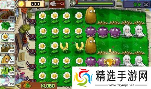 庄不纯植物娘大战僵尸游戏下载