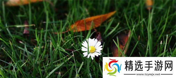 姬小满张嘴流眼泪图片高清