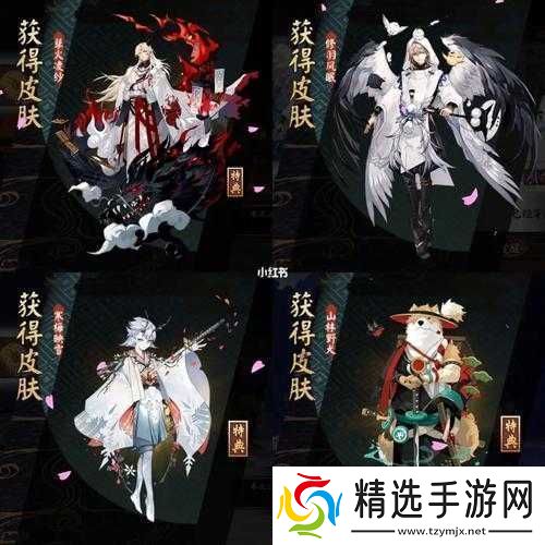 阴阳师皮肤穿戴方法