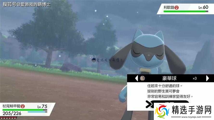 剑盾路卡利欧获取地点