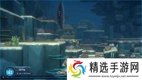 潜水员戴夫的海葡萄区域探秘之旅