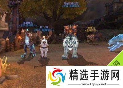 光明大陆弓箭手符文怎么搭配弓箭手属性选择解析