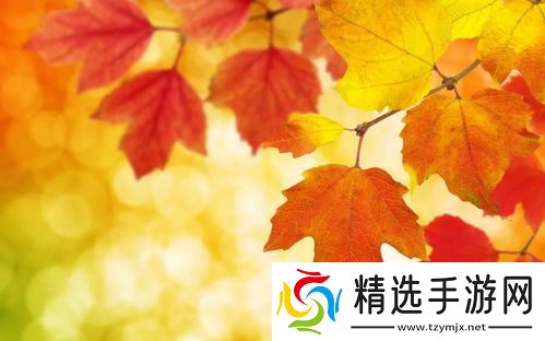 提升搜索可见度