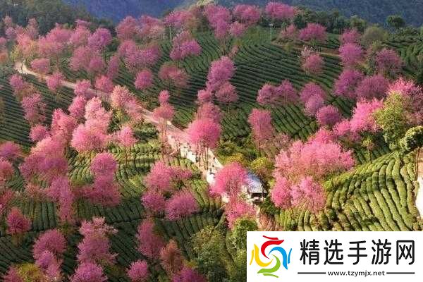 大侠饶命无量山攻略