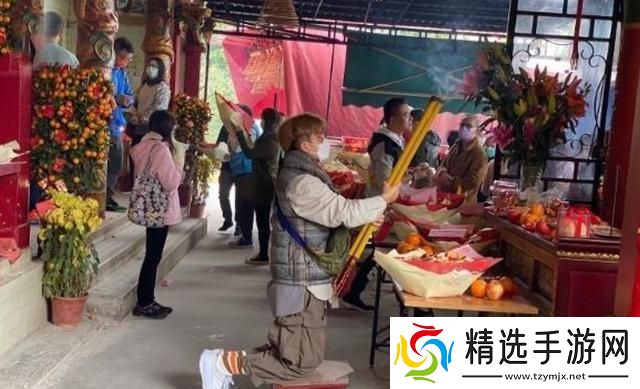 苏家少***求子奇旅