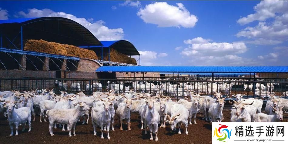 “科普人马畜禽”狂潮来袭游戏界的新宠儿！