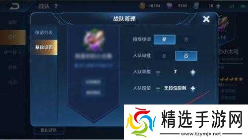 如何设置显示王者游戏战队信息