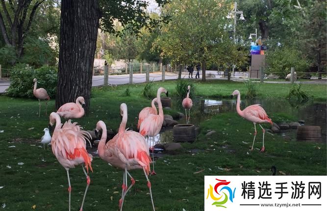 卡尔加里动物园