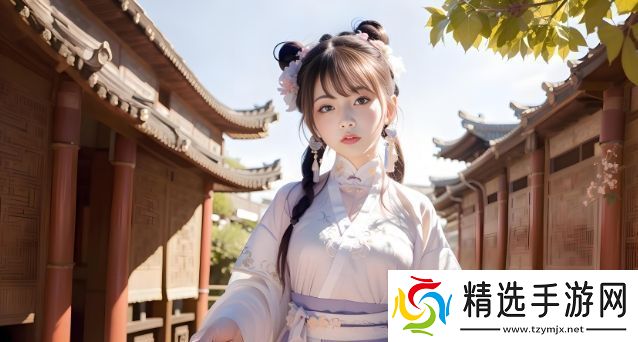 深入了解日本一品与二品的区别