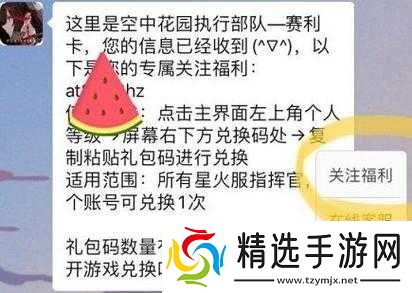 战双帕弥什兑换码使用方法是什么