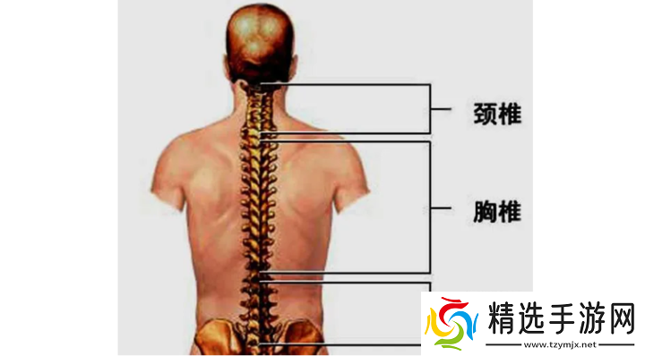 颈腰挺过那层薄膜