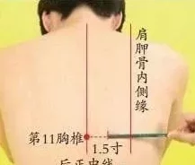 男女嗟嗟疼还往里寒
