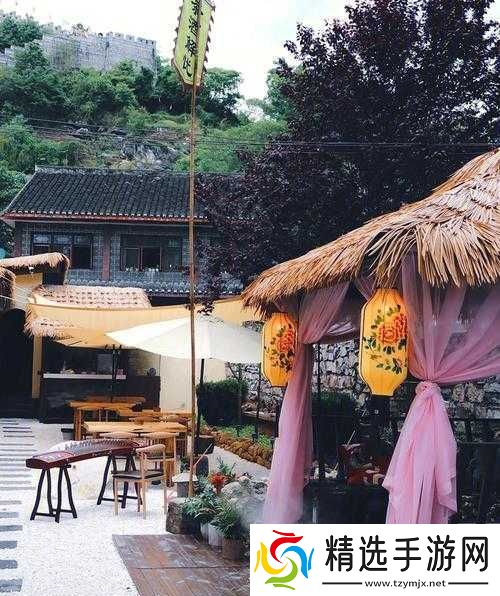 武缘伙伴名宿指南