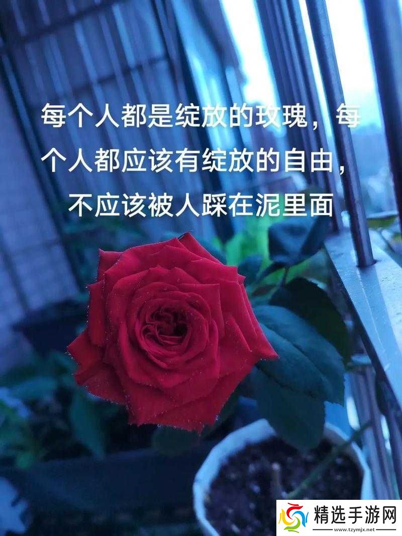 抖音上的歌曲之贞洁的花儿自由绽放是什么歌