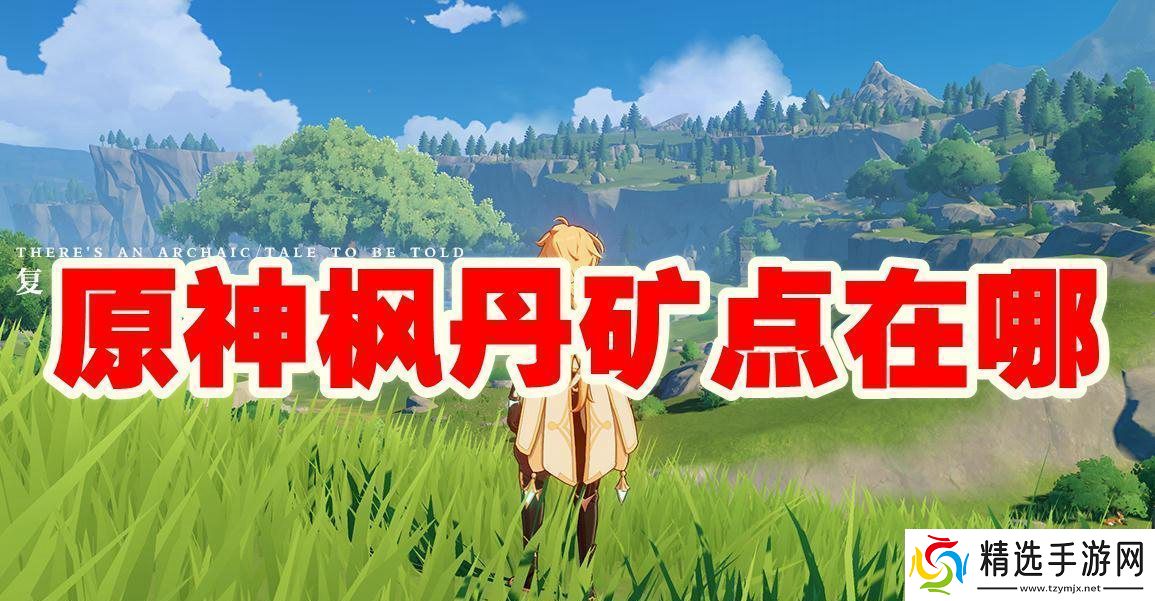 原神枫丹矿点在哪里
