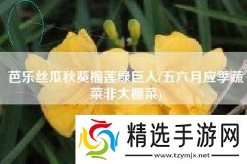 绿巨人秋葵芭乐榴莲丝瓜