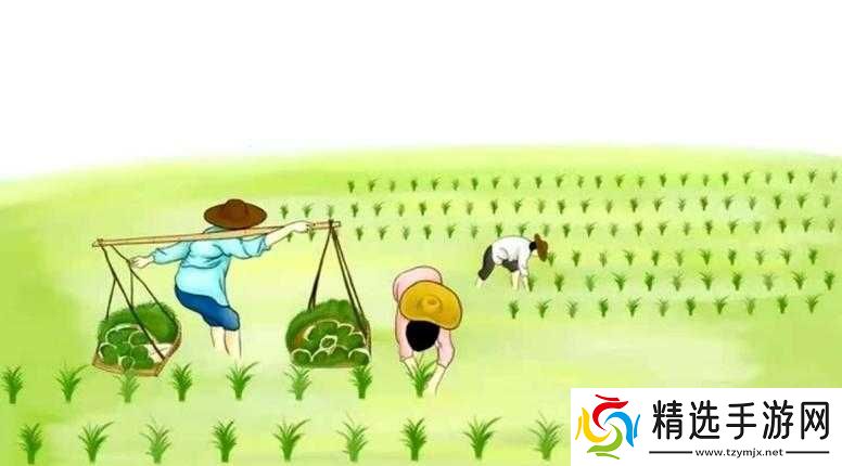 情侣插秧姿势参考绘画