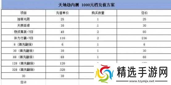 天地劫手游充值策略解析