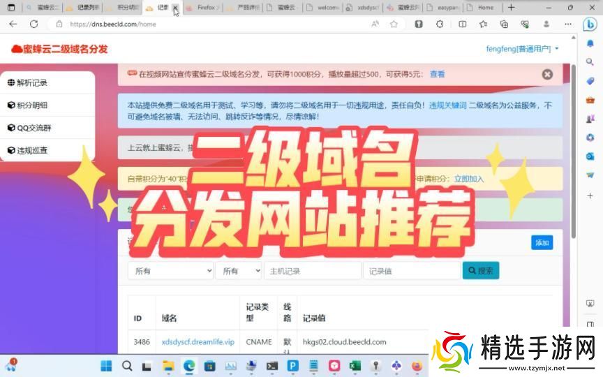 “免费二级域名生成站”崛起记